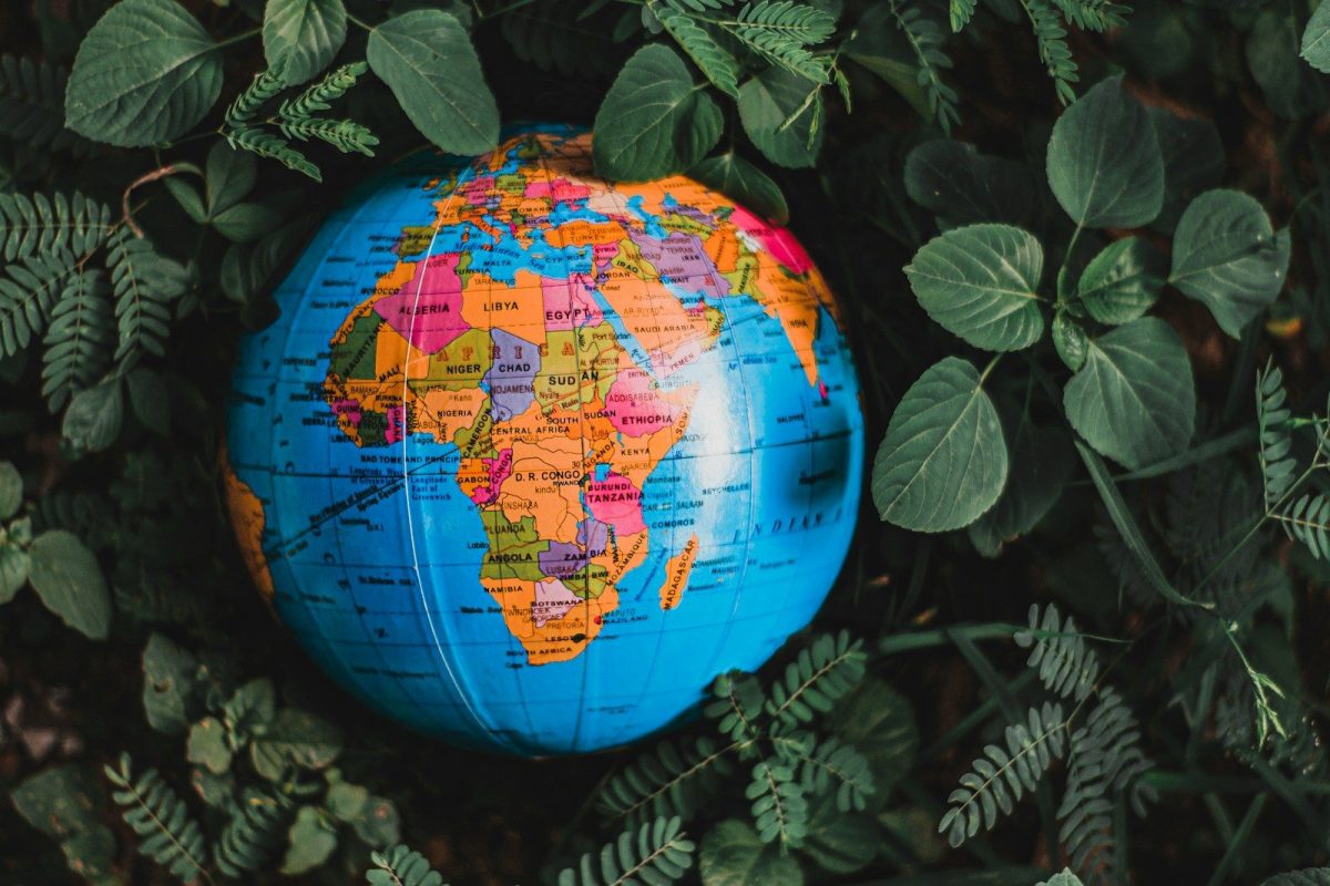 a blue and orange globe surrounded by green leaves